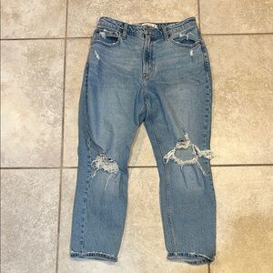 Abercrombie and Fitch Curve Love High Rise Mom Jeans Destroyed 6S